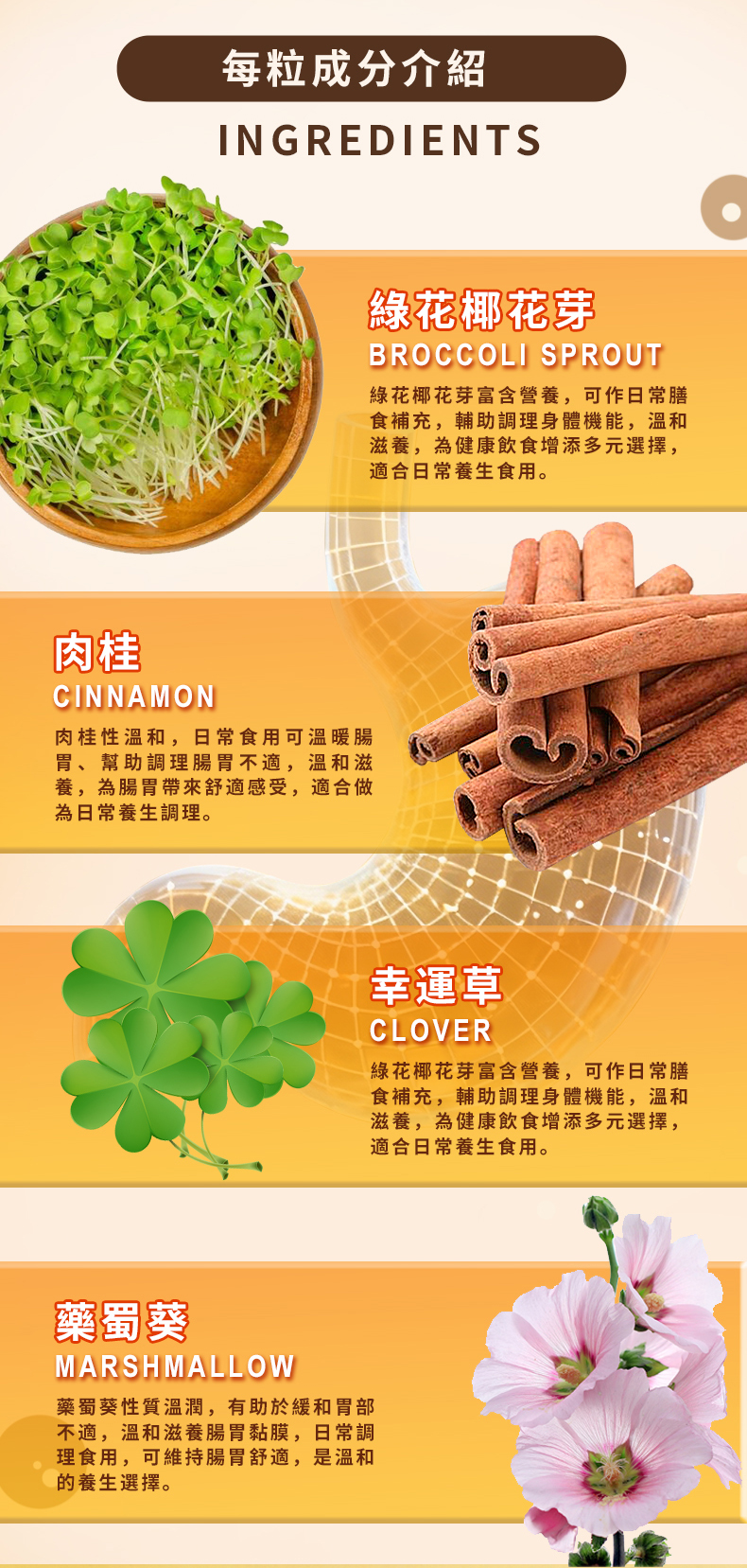 胃補素 STOMACH CARE 詳情圖
