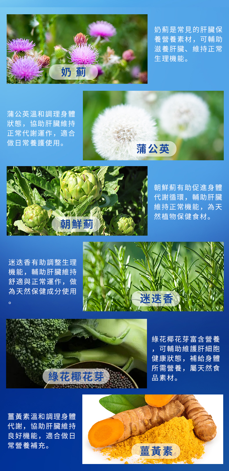 護肝寶 LIVER CARE 詳情圖