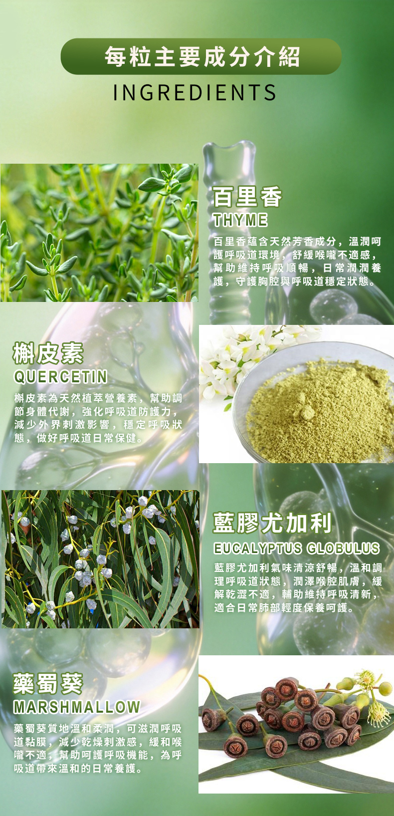 順氣靈 RESPIRATION CARE 詳情圖